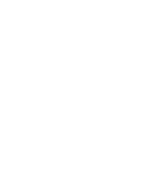 Decorative shape element